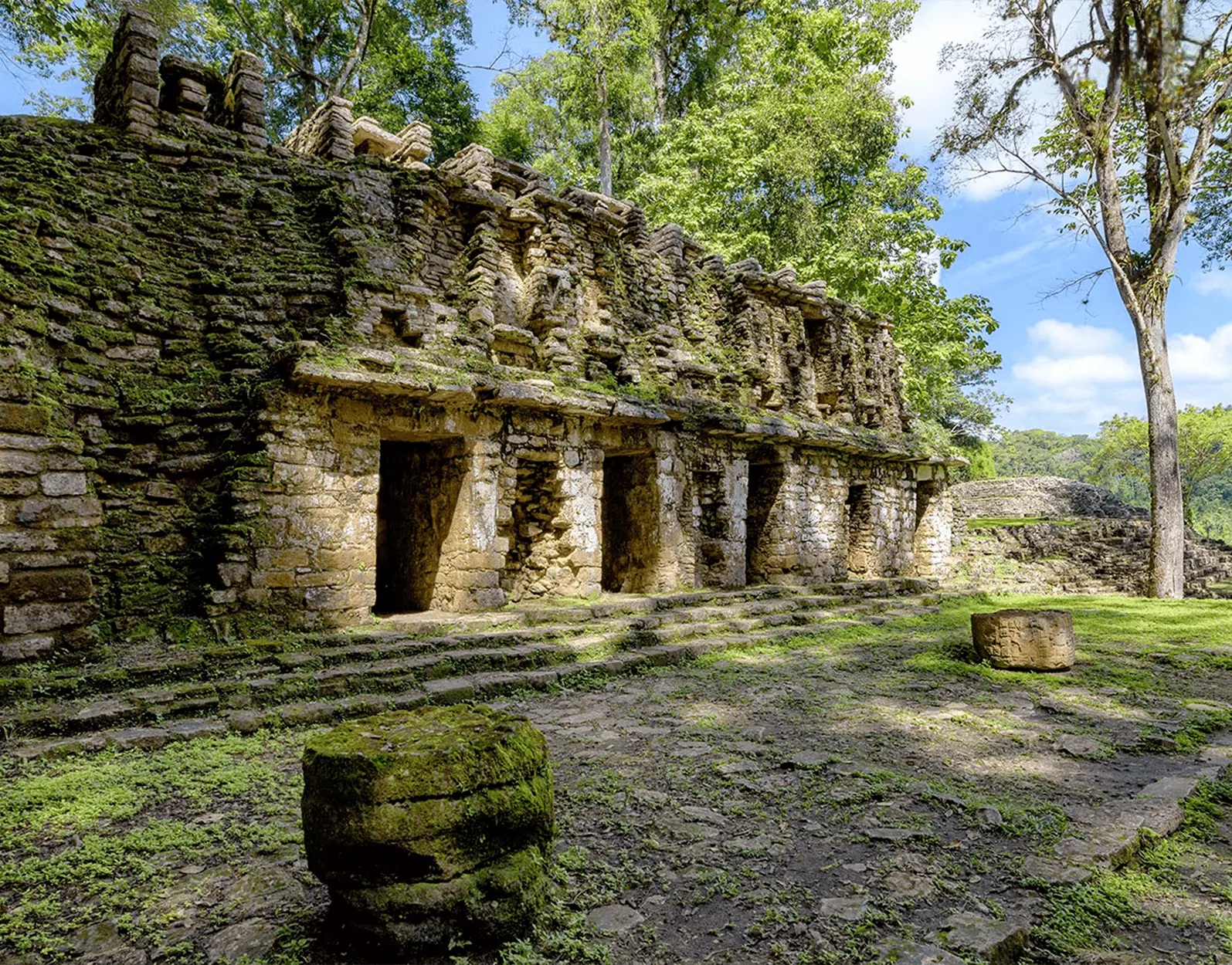 Ruinas mayas rodeadas de selva